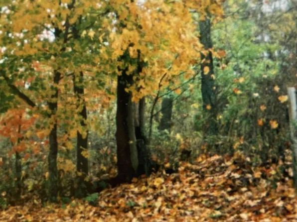 2188 Lakeview Circle, Rogersville, MO 65742