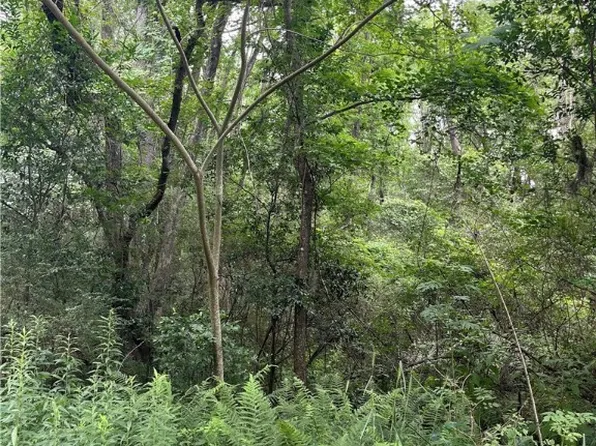 0 Pickens Street, Savannah, GA 31405