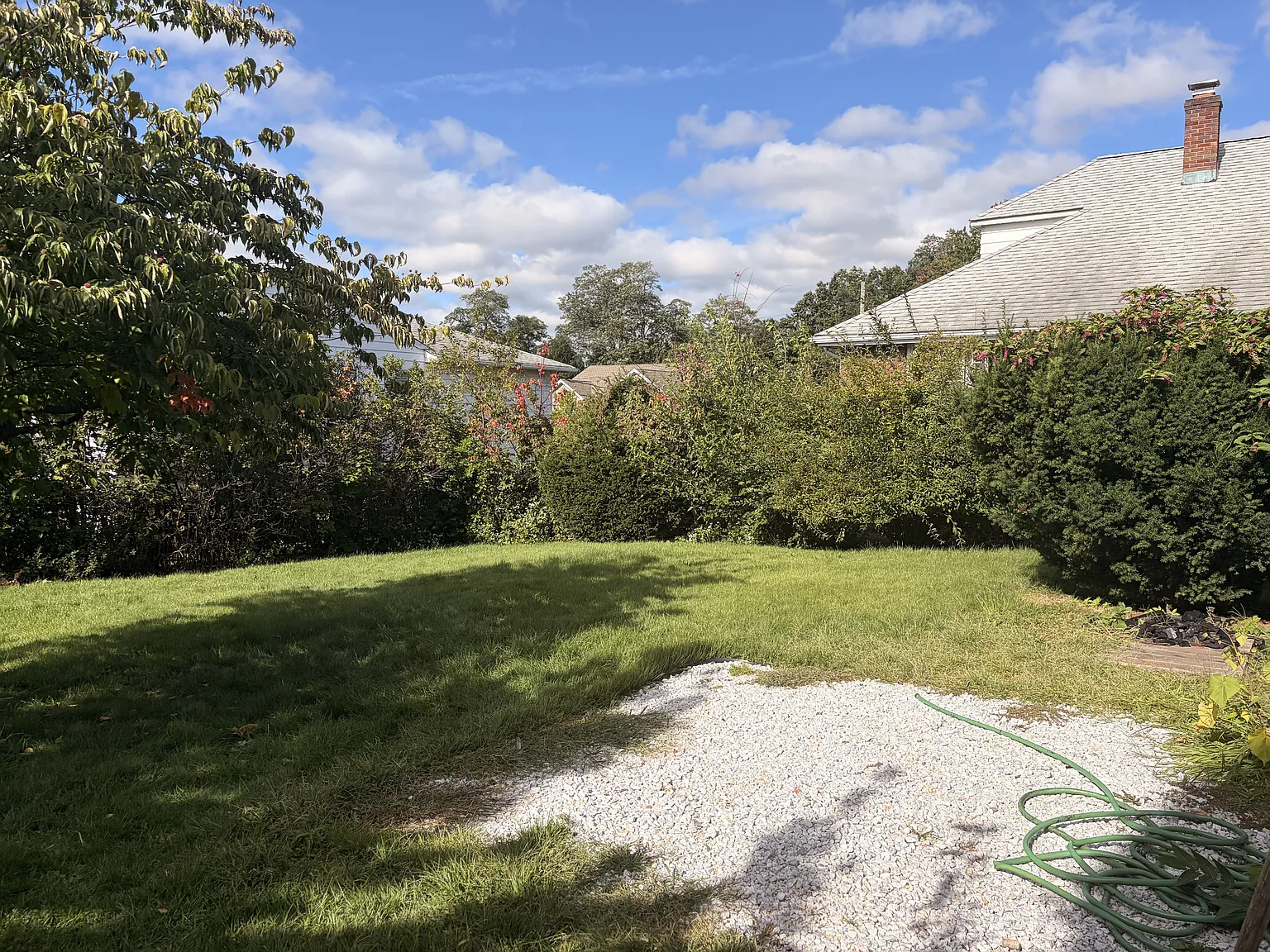 3 bed, 1.5 bath, 1230 sqft, $3,400 — Photo 4