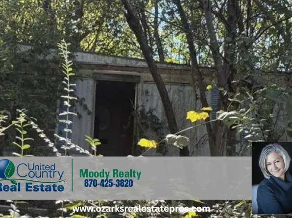 178 County Road 677, Mountain Home, AR 72653