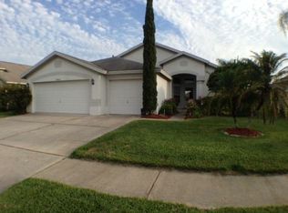28838 Raindance Ave, Wesley Chapel, FL 33543