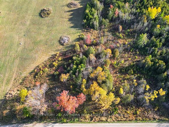 3rd image of 3 Acreman Rd