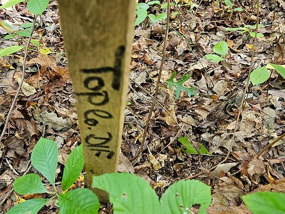 4th image of 0 Off Of Long Branch Rd