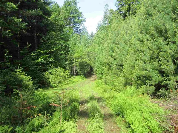 120 Leo Ct, Galway, NY 12074