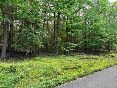 98 Goldenrod Dr, Terra Alta, WV, 26764
