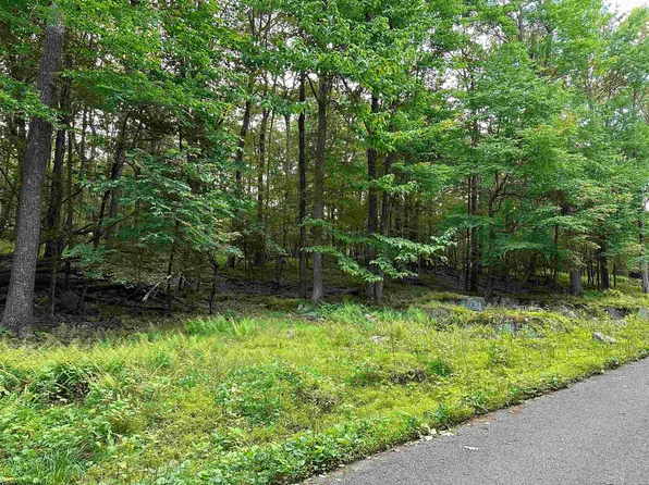 98 Goldenrod Dr, Terra Alta, WV 26764