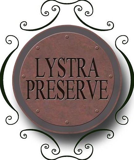 2nd image of 583 Lystra Preserve Dr
