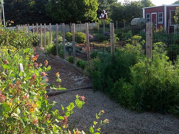 Vegetable Garden