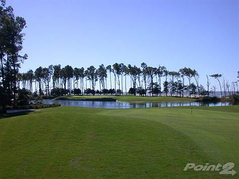 Golf Course