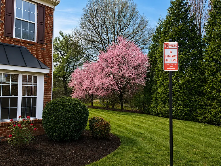side view in spring