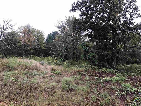 3rd image of 13377 Nance Ln Lot 29