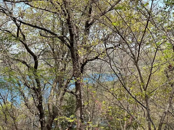 Lot 75 Country Lane, Blue Eye, MO 65611