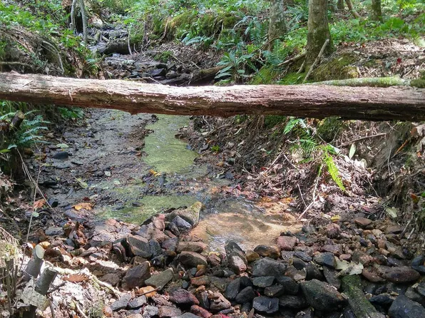 0 Bald Mountain Rd Lot 8, Dillard, GA 30537