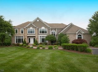 3 Pond View Ct, Whitehouse Station, NJ 08889