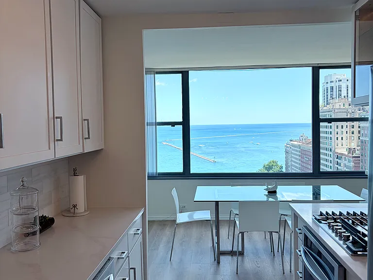 1000 N Lake Shore Dr #2209 — Photo 2