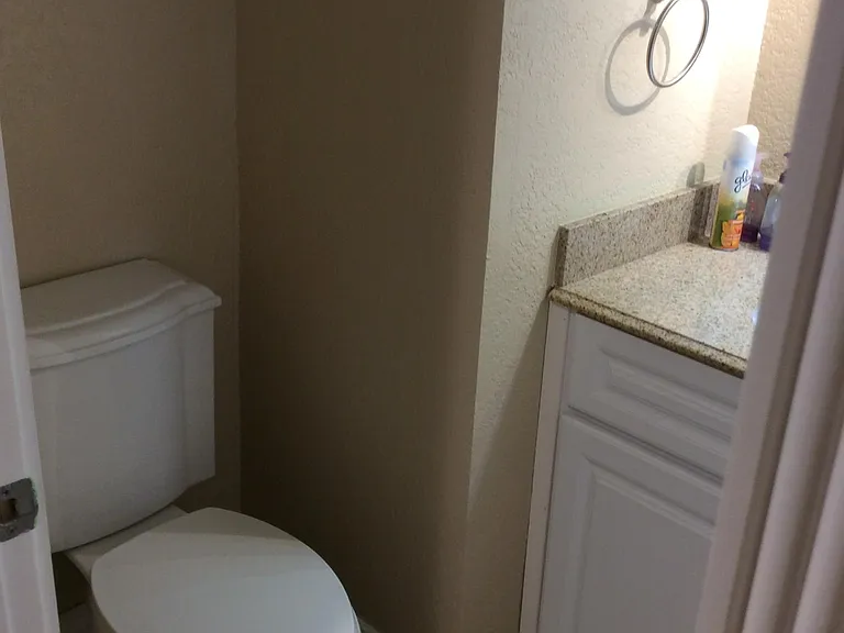 Downstairs half bathroom