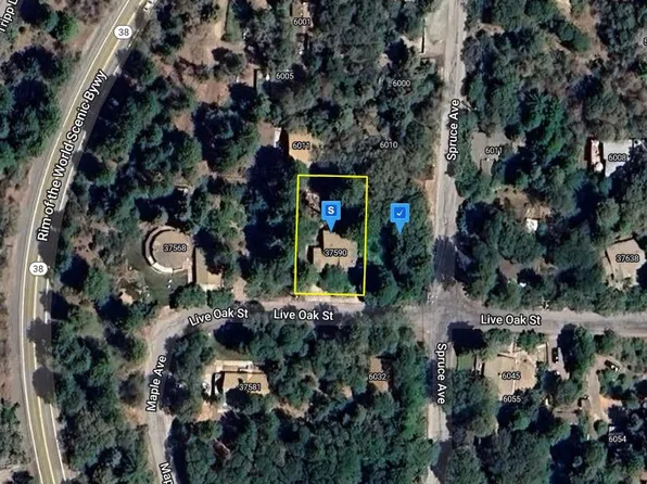 37590 Live Oak St, Angelus Oaks, CA 92305
