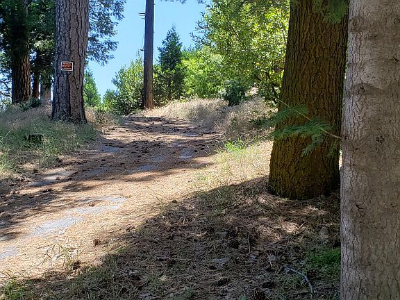 4th image of 24737 Crest Forest Dr