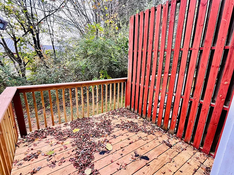 346 Old Gray Station Rd — Photo 36