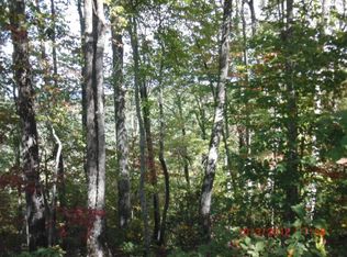 LOT-63J Mountian, Hayesville, NC 28904