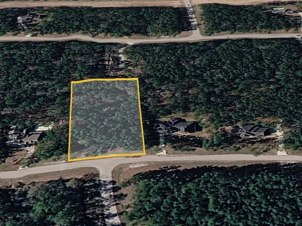 47 Brahman Ln, New Waverly, TX 77358