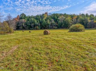 0 Jones Cemetery Rd, Rogersville, TN 37857