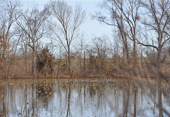 4th image of 57321 Culley Ln