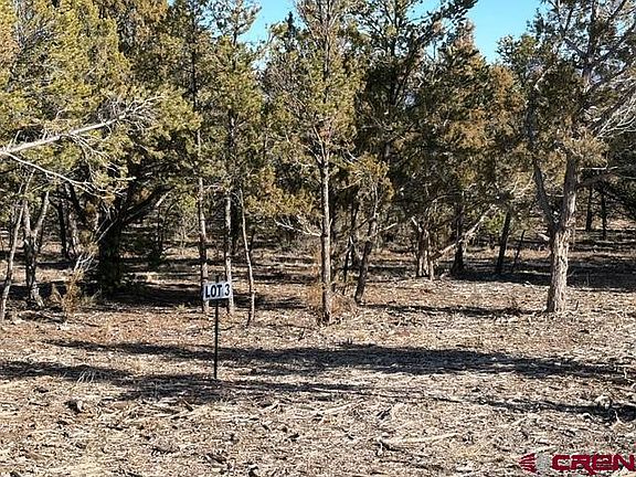 5th image of Lot 3 (TBD) County Road 22B