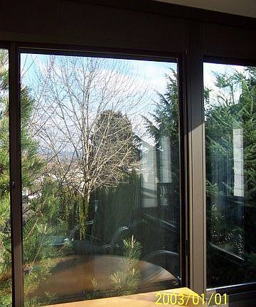 Sunroom view to Mt Hood