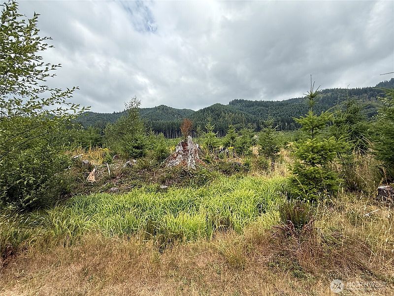 2nd image of 327 xx Kolisch Road E