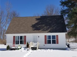 3555 Lakeview Dr, Perry, NY 14530