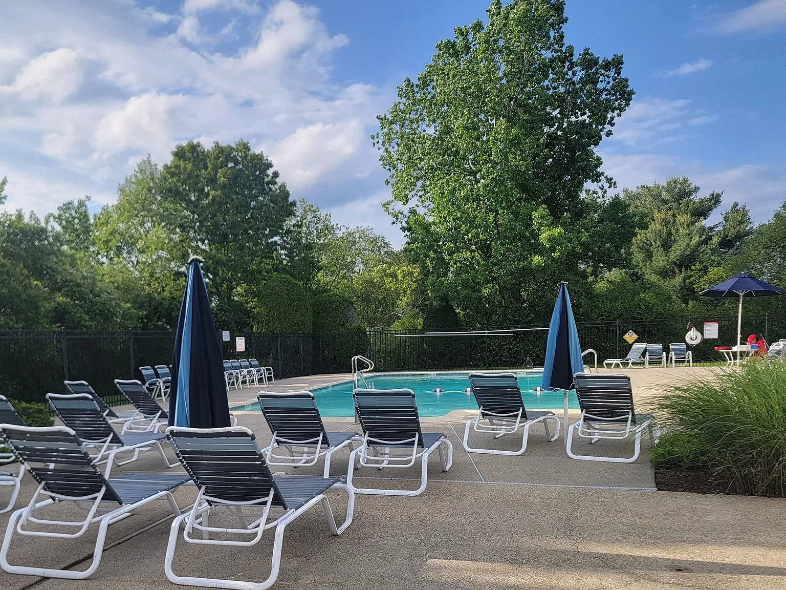 1 bed, 1.0 bath, 900 sqft, $1,375 — Photo 4