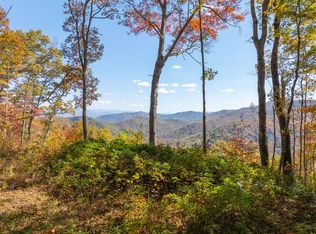 9999 Conleys Creek Rd, Bryson City, NC 28713