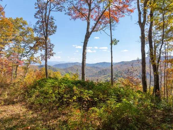 9999 Conleys Creek Rd, Bryson City, NC 28713