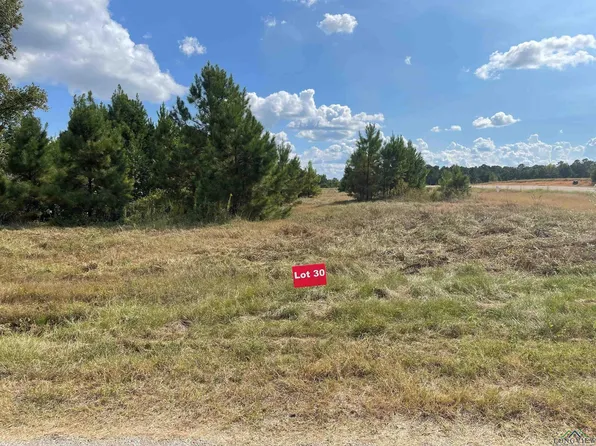 30 County Road 2204d & Dm #1797, Tatum, TX 75691