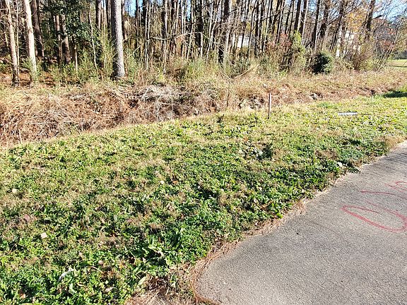 2nd image of 3262 Highway 20 SE Lot 6