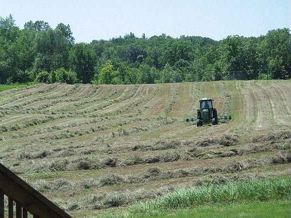 View of field 1