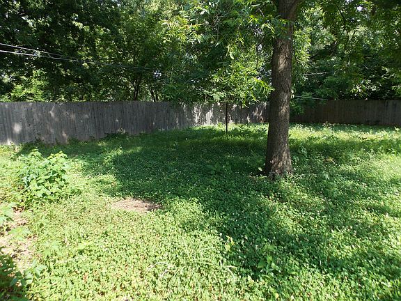 back shade tree