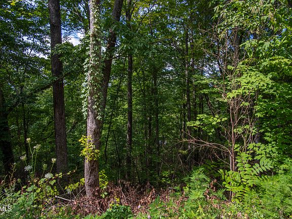 4th image of N Dogwood Ln
