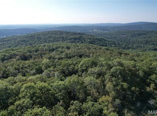 1055 Ritter Creek Ln, Park Hills, MO 63601