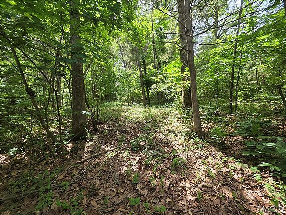 2nd image of 0 S Lakeshore Dr