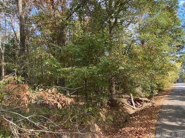 0 Lily Highway Hwy #60, Houston, AR 72070