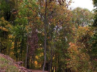 375 Buck Dr, Hot Springs, NC 28743