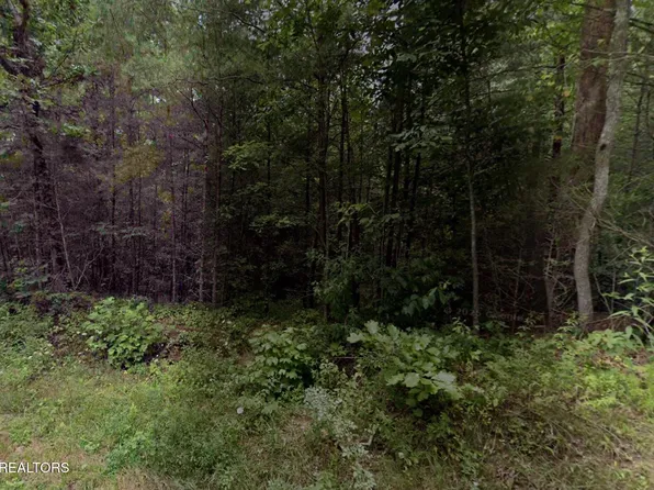 Gladys Rd, Deer Lodge, TN 37726