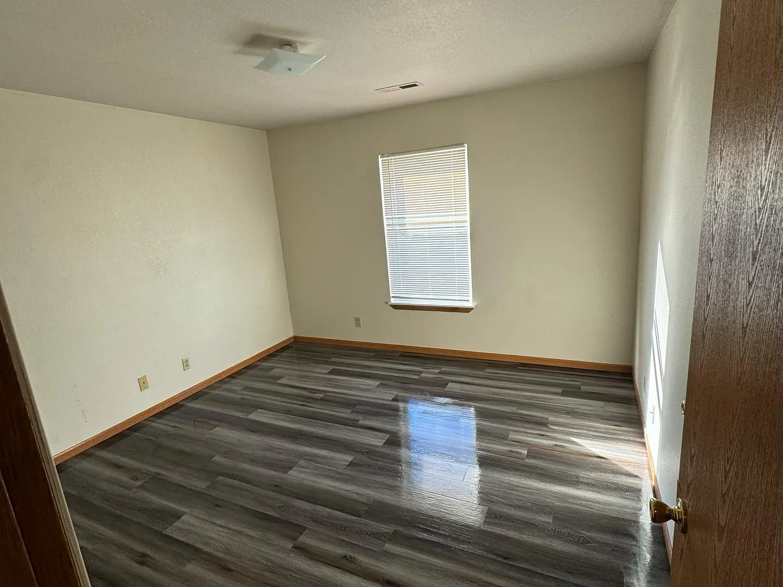 Pine View Apartments — Photo 3