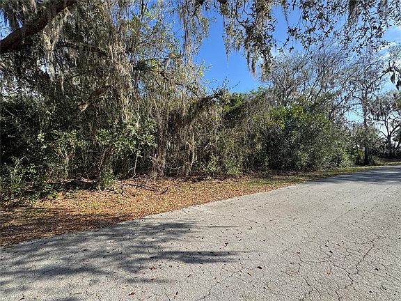2nd image of CR 482C LOT 11