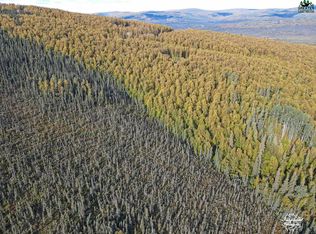 L13 Birch Bend Ct, Fairbanks, AK 99712