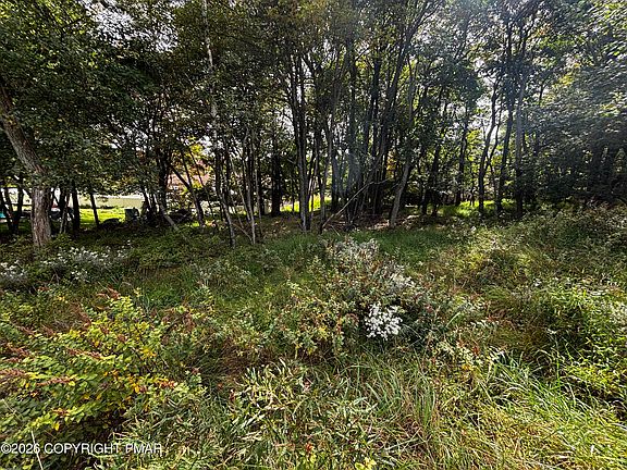 3rd image of Long Pond Rd