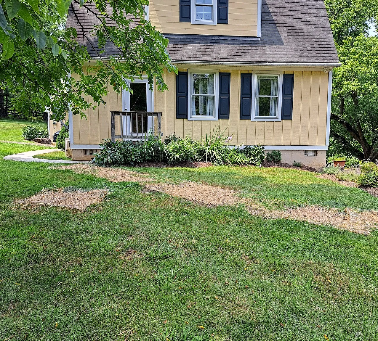 1 bed, 650 sqft, $1,800 — Photo 2