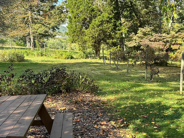 Pete Luther Rd — Photo 21
